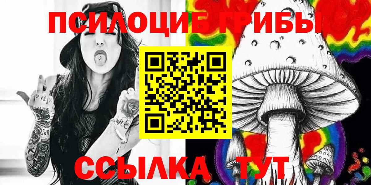 Псилоцибиновые грибы прущие грибы Кисловодск